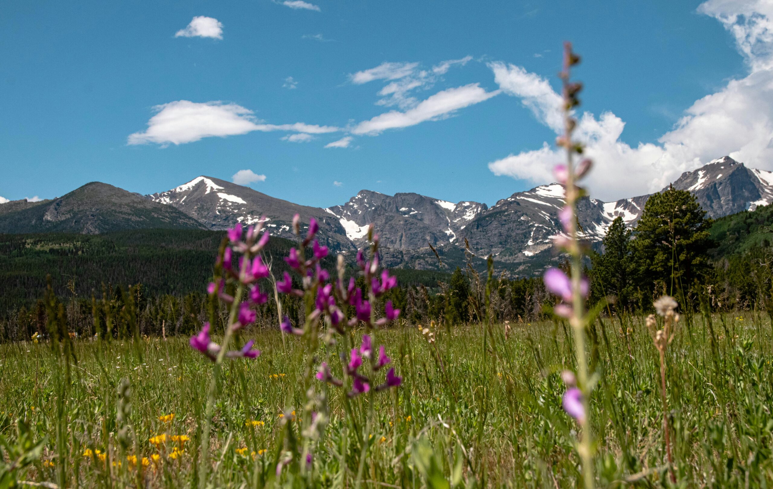 kristina volgenau mesmicayuye unsplash